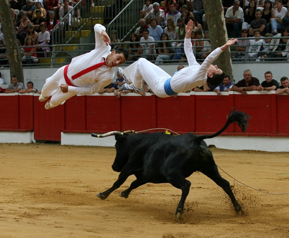 Traditions - Folklore
