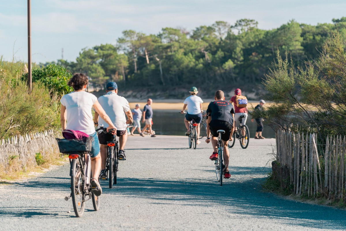 v-lo-sud-landes-landes-atlantique-sud-47060