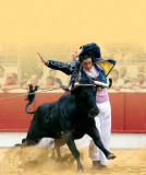 800x600-course-landaise-40803-46928